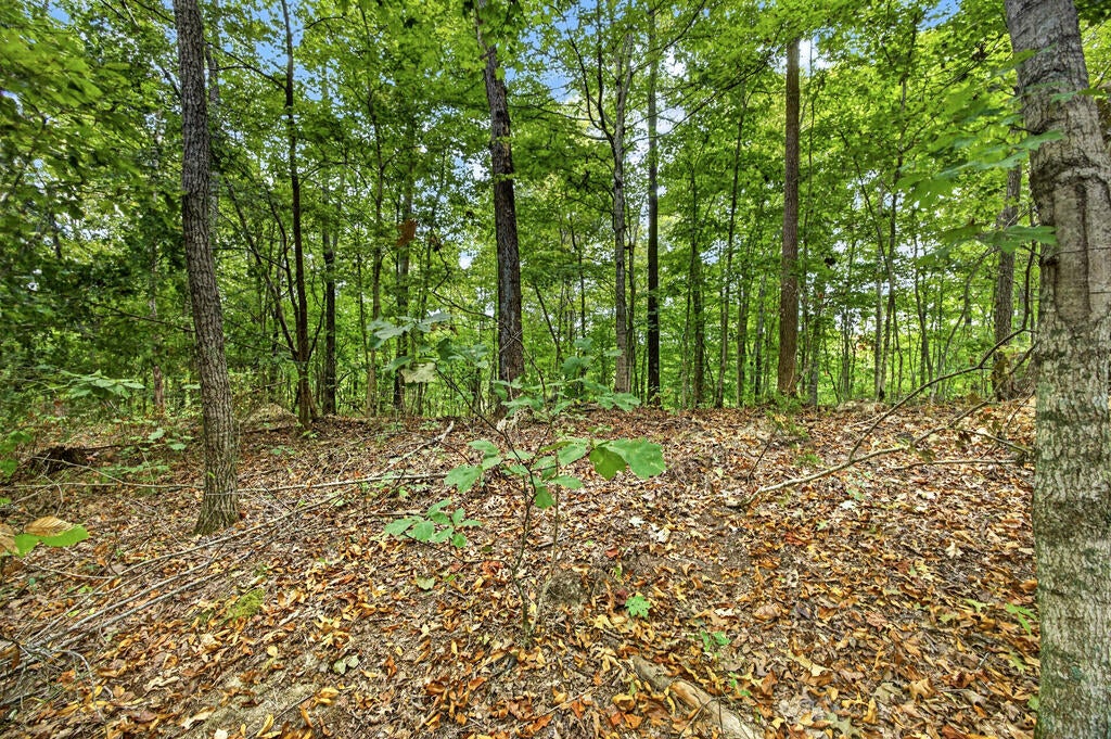 Lot 28 Timber Ridge Lane- Phase Ii