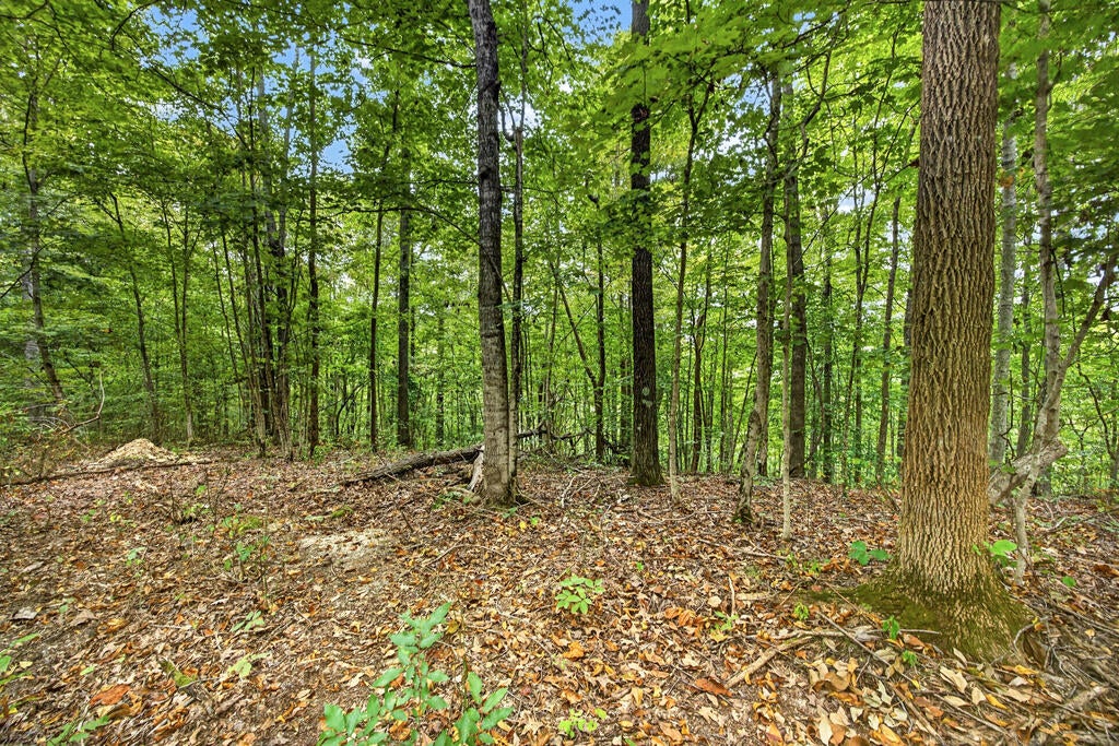 Lot 28 Timber Ridge Lane- Phase Ii