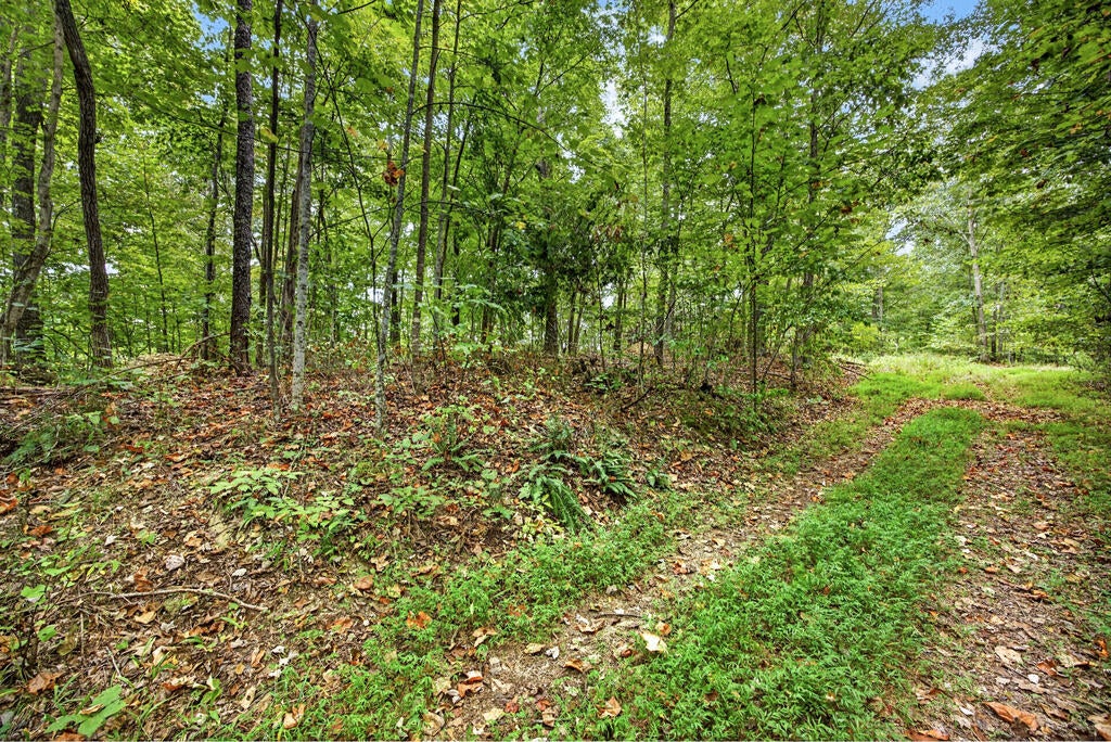 Lot 28 Timber Ridge Lane- Phase Ii