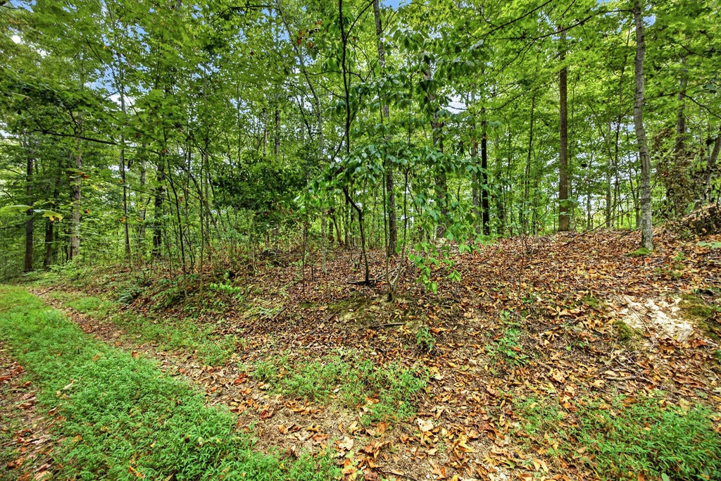 Lot 28 Timber Ridge Lane- Phase Ii
