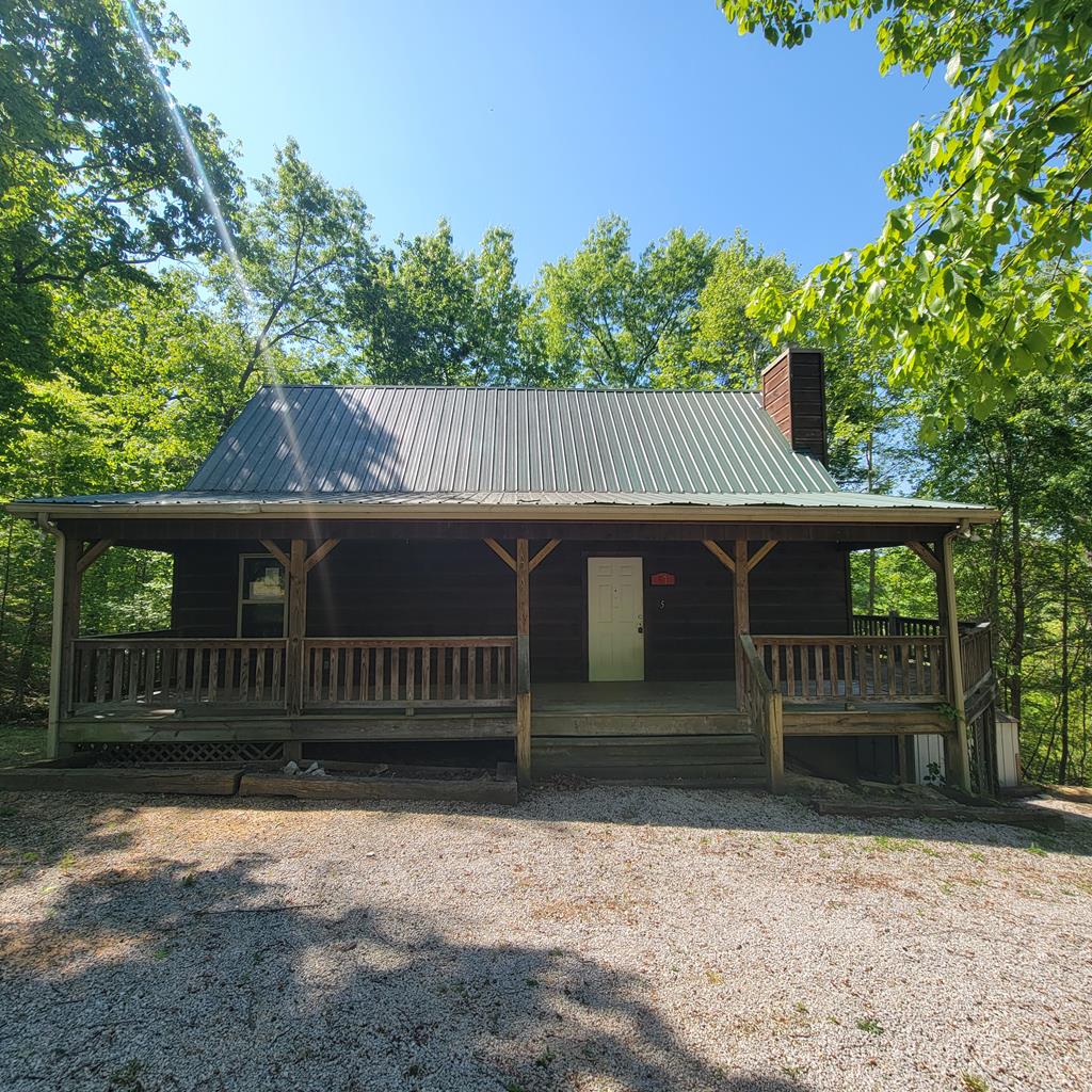 Main View