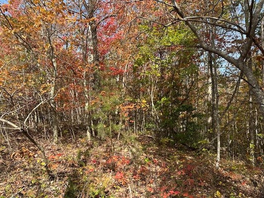 60268 RED ROCK LN, CRAWFORD, TN 38554 - Image 3a2c6811a4a653f9d2330e4e5739e9aa/251126100