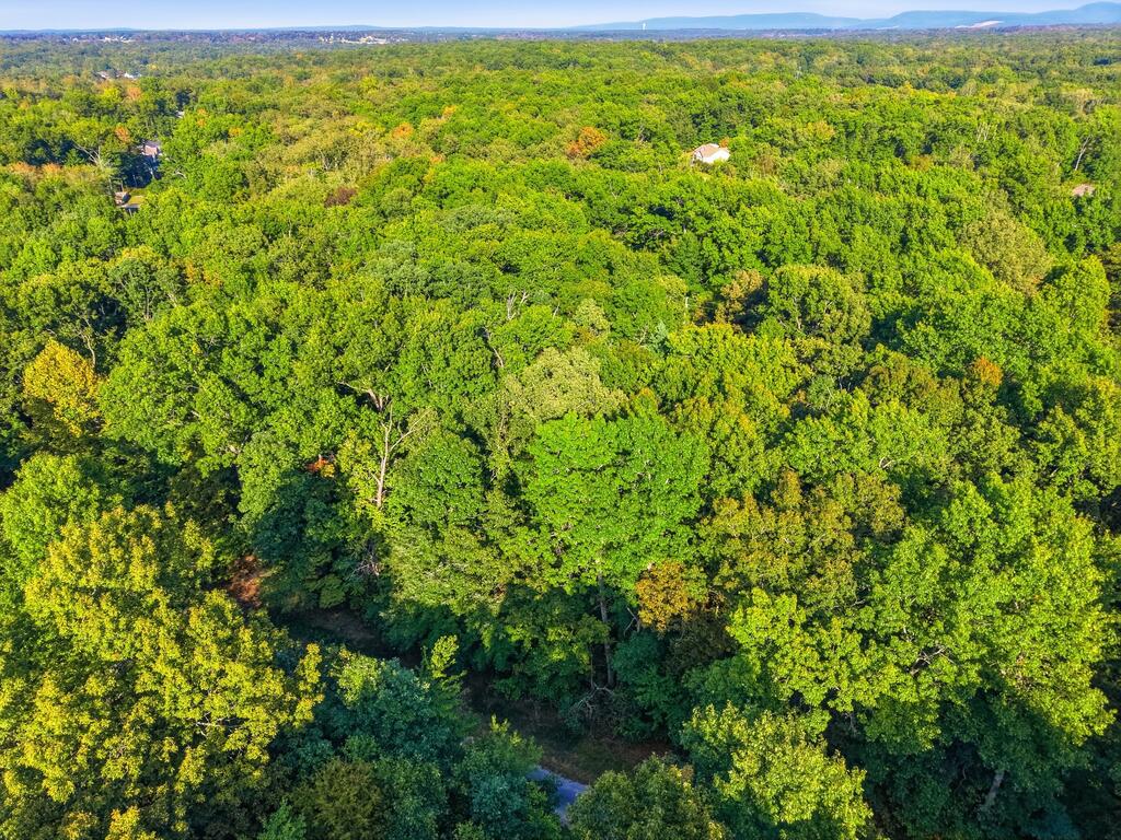 615 Catawba Lane