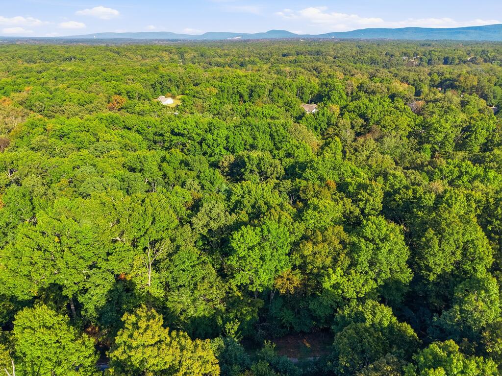615 Catawba Lane