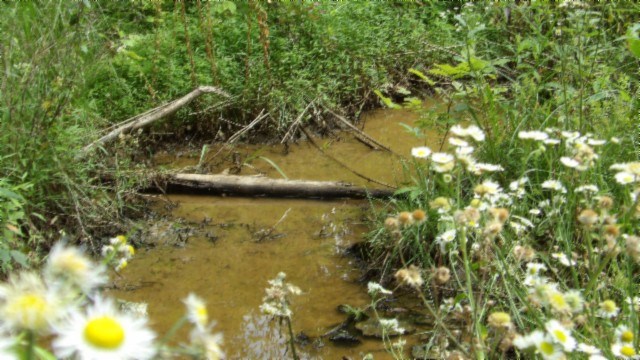 51.30ac Livingston Hwy