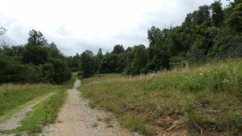 51.30ac Livingston Hwy Byrdstown TN 38549