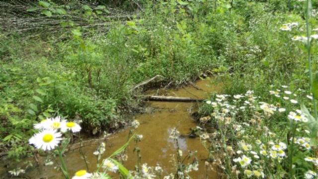 51.30ac Livingston Hwy