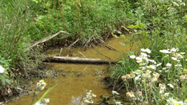 51.30ac Livingston Hwy