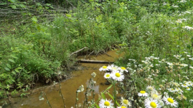 51.30ac Livingston Hwy