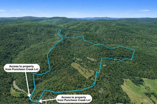 580 PUNCHEON CREEK LN, ALLRED, TN 38542 - Image 451a81c5bde0a2cab82cedfee005fd3f/4076325544