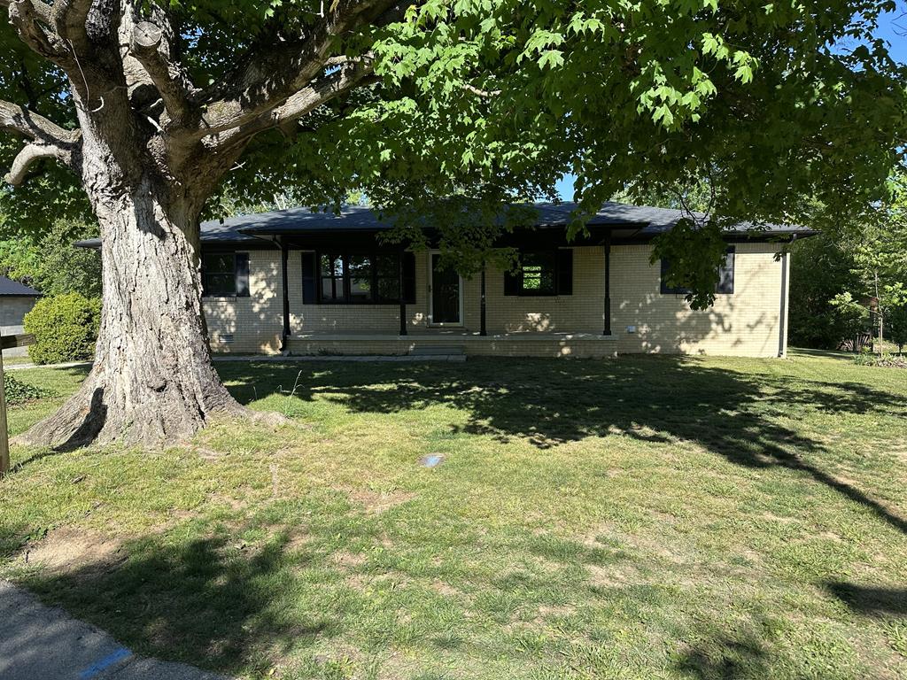 Main View