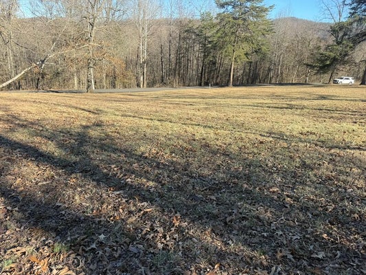 2 PENNY LN, ALBANY, KY 42602 - Image 494e5796dd7cfafdd50ea2c012dab0ca/2433266196