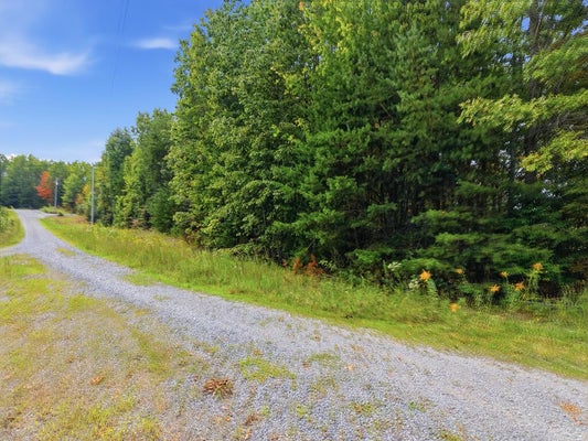 335 MOCKING BIRD LN, WILDER, TN 38589 - Image 4e975b0ac47ef37ba2a16a8cf650d865/1719089302