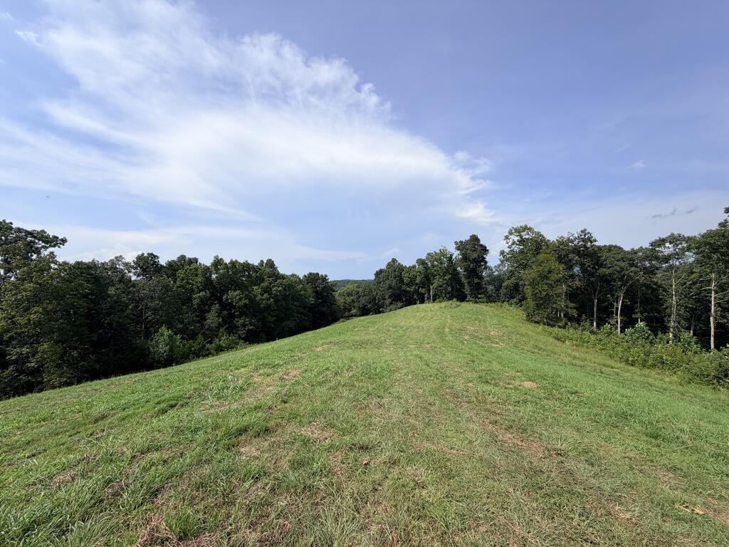 Tract 3 Cherrytree Ln - Photo 3
