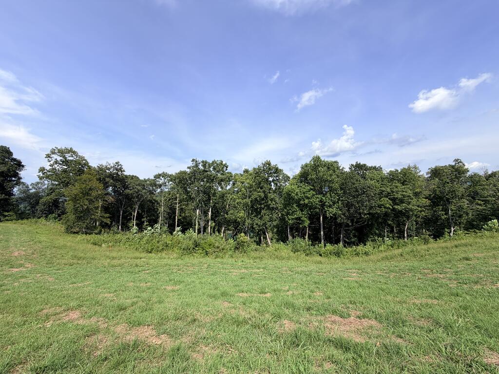 Tract 3 Cherrytree Ln - Photo 4