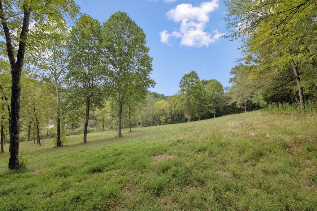 46.19 Ac Funn Branch Rd