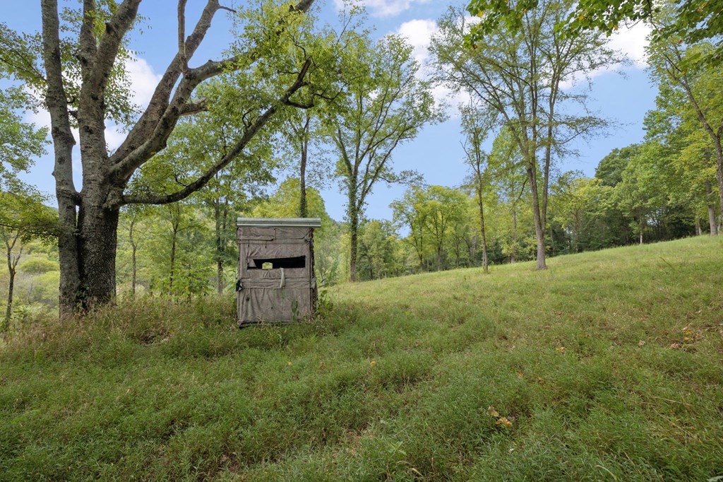 46.19 Ac Funn Branch Rd