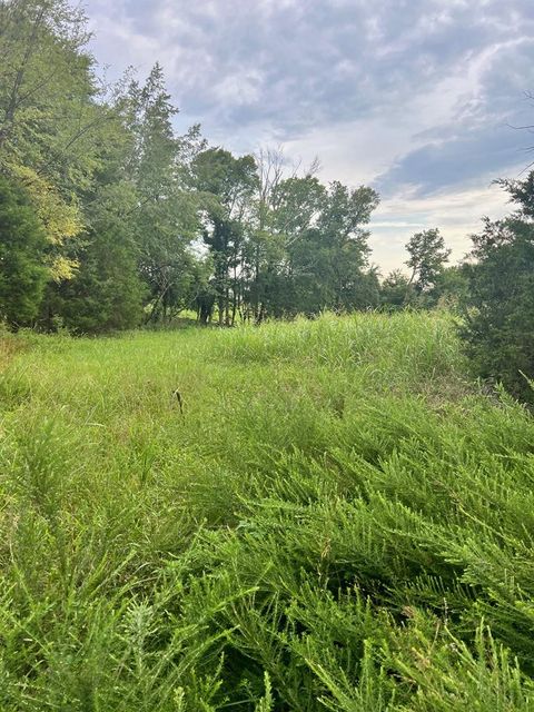 0 Hix Road Lot #2 Gordonsville TN 38563