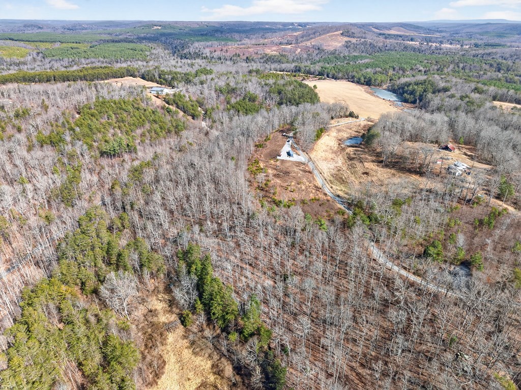 12.63 Ac Vanwinkle Cemetery Road - Photo 3