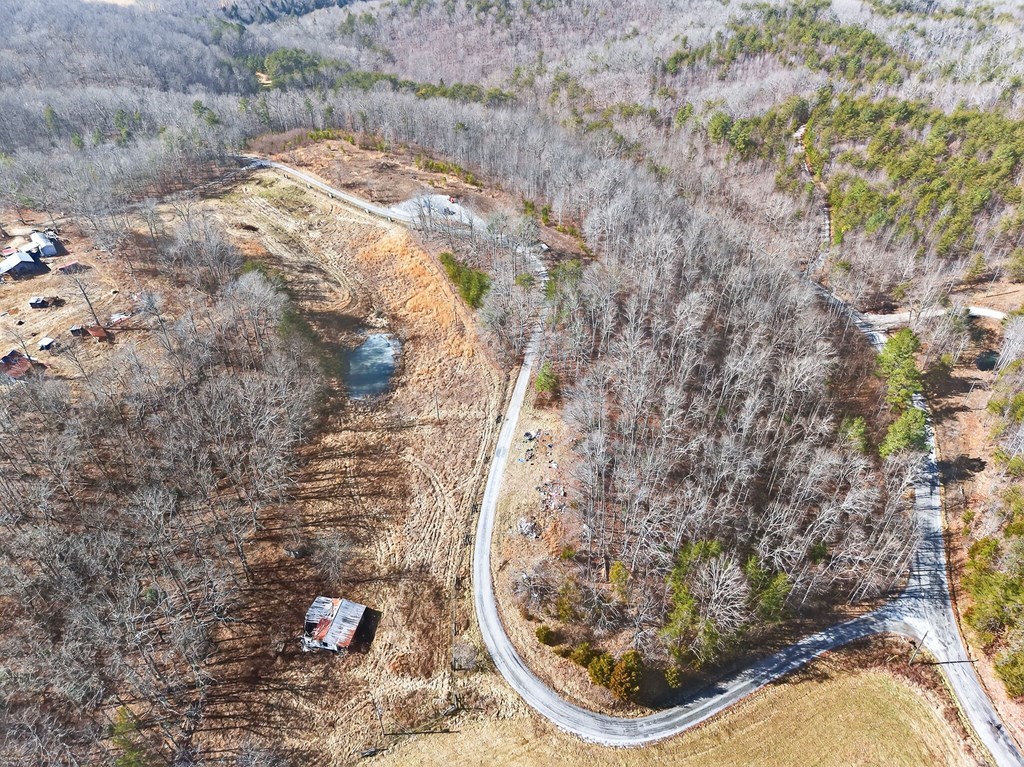 12.63 Ac Vanwinkle Cemetery Road - Photo 4