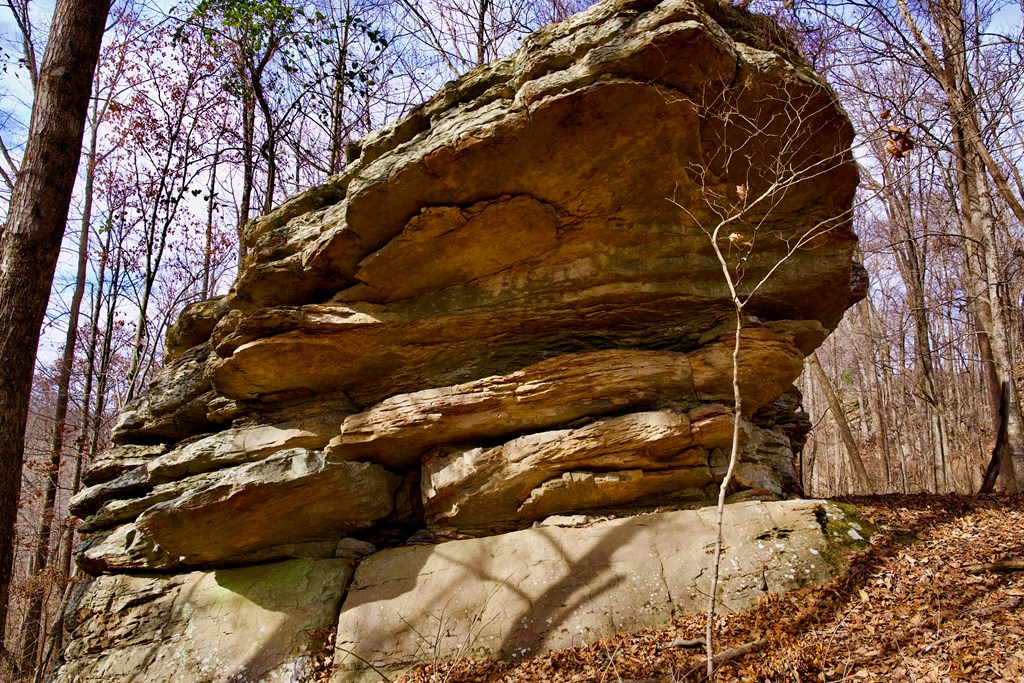 36AC White Oak Flatt Rd