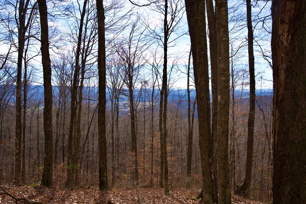 36AC White Oak Flatt Rd