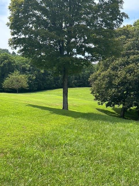 397 Star Point Rd - Photo 4
