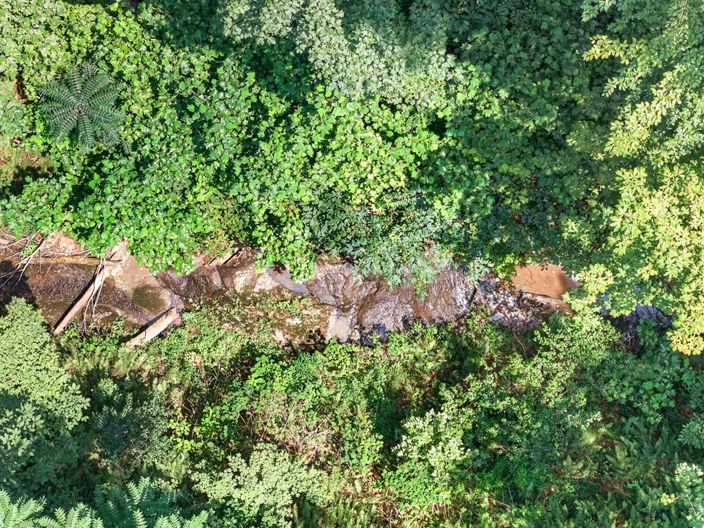 397 Star Point Rd - Photo 3