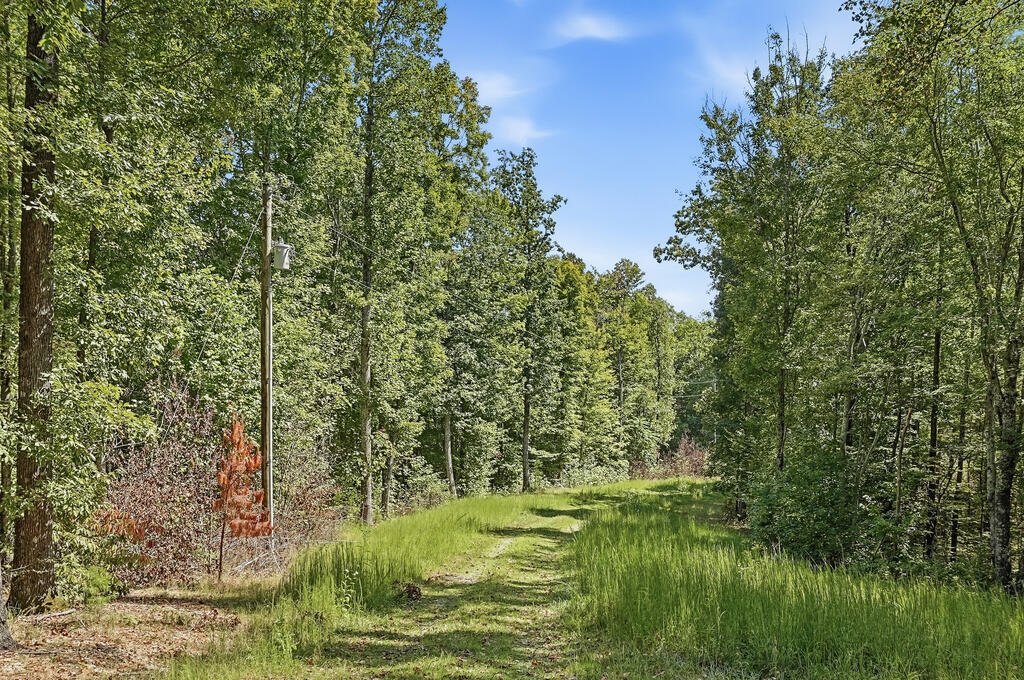 450 Pleasant Hill Cemetery Lane - Photo 3