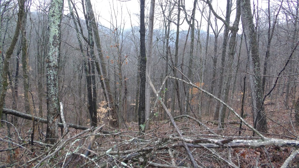 17 & 18 Savannah Drive