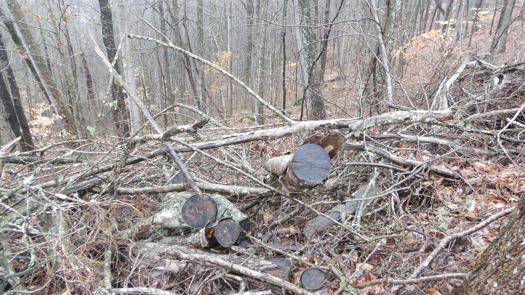 17 & 18 Savannah Drive