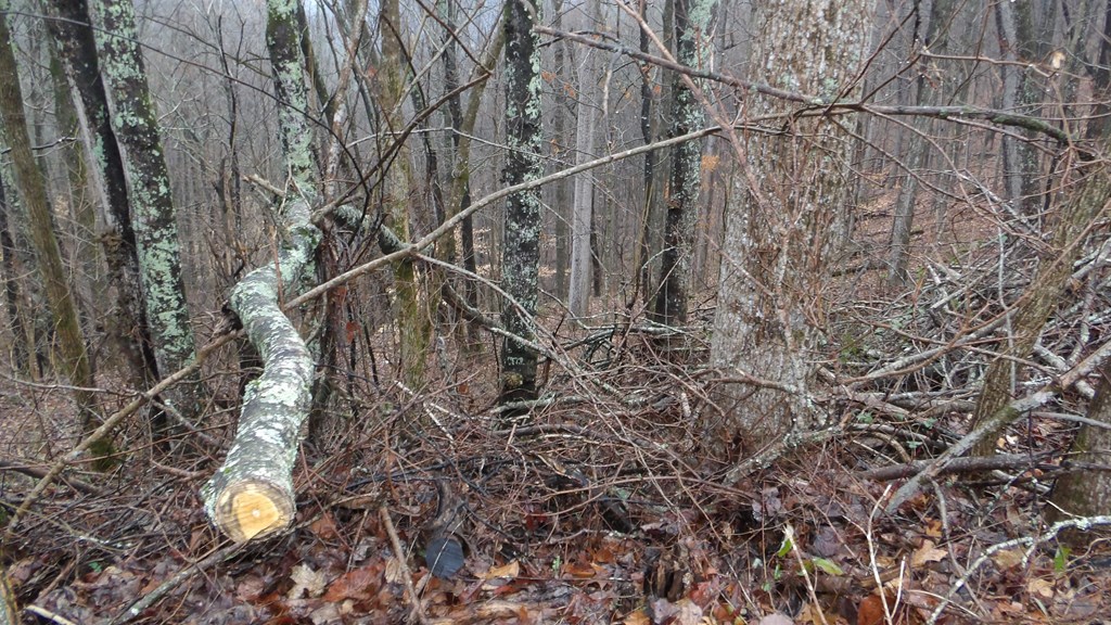 17 & 18 Savannah Drive