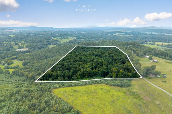 1033 BALD KNOB MTN CUMMINGS COVE RD, DOYLE, TN 38559 - Image 6ef0c09cc9ccd27bc5ced9c7feffa89c/2884689661