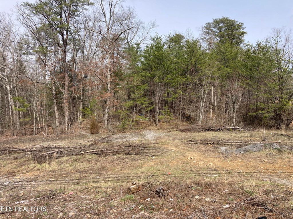 4.8 Acre N Main Street - Photo 4