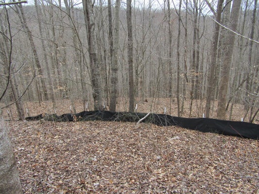 LOT 60 W BOBCAT LANE, WILDER, TN 38589 - Image 720d93bb96311ea8f7cc345a714aab93/1338007791