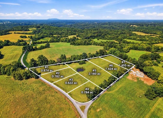 8 LOTS WEBBS CAMP/JOPPA RD, WALLING, TN 38587 - Image 75a8edb6b5d6b7445ee686fcbced5f4b/3557566099