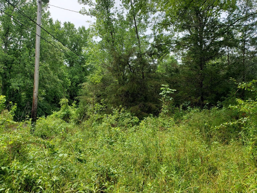 842 Dave England Rd.