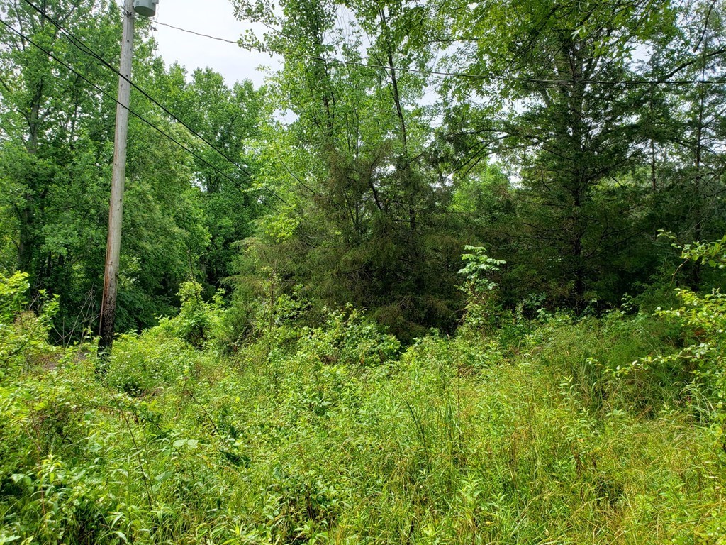 842 Dave England Rd.