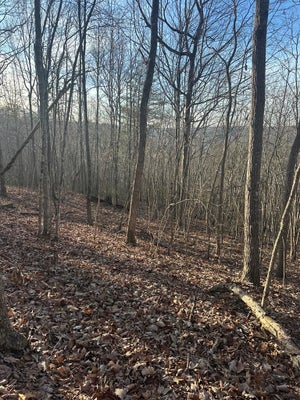 285 PURPLE IRIS LN, WILDER, TN 38589 - Image 7b344a7d1db9348b3d268edbbb74957f/3402648231