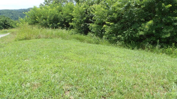 ADDRESS PRIVATE, HILHAM, TN 38568 - Image 7d48221dd9cbb2dece144ffd3a6cea56/3876281219