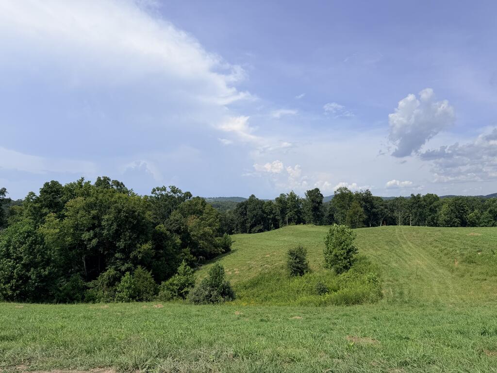 Tract 2 Cherrytree Ln - Photo 3