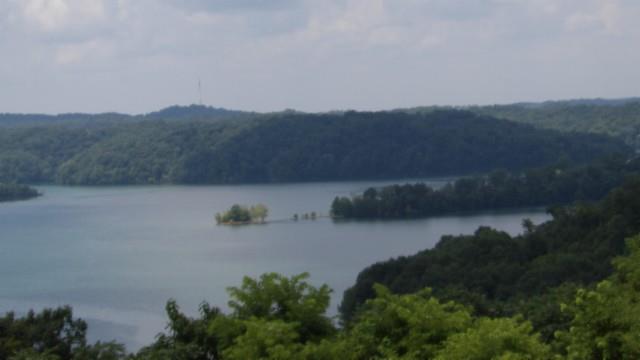 Main View