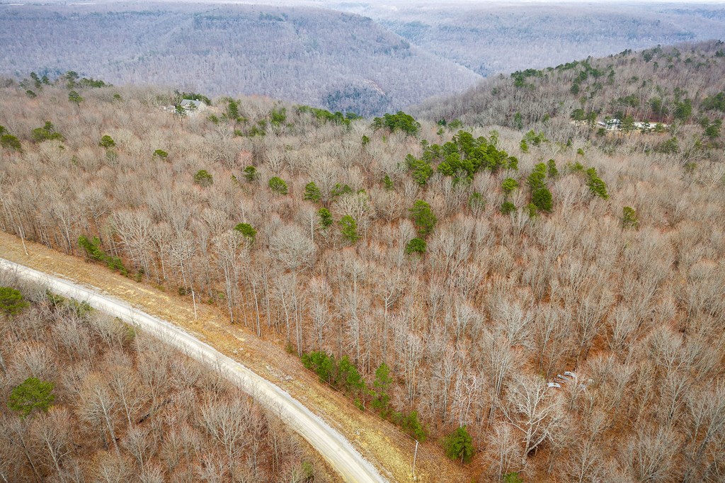 0 Parkstown Rd./East Fork Obey River