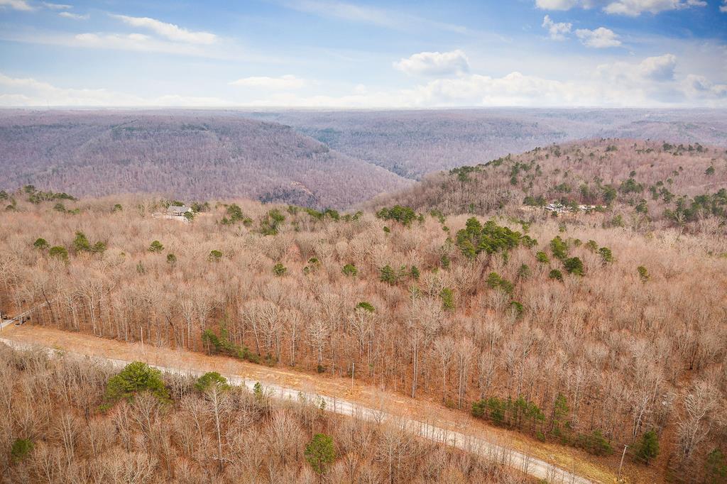 0 Parkstown Rd./East Fork Obey River