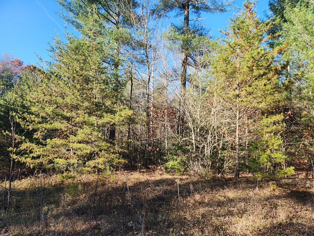 Lot 25 Shotgun Annie Rd