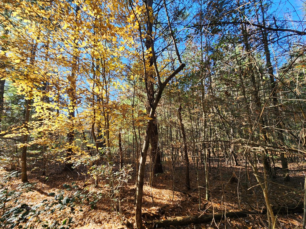 Lot 25 Shotgun Annie Rd