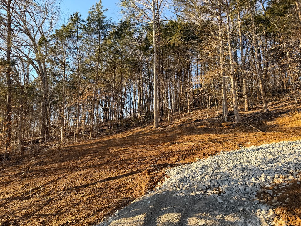 1260 Wolf River Road - Photo 4