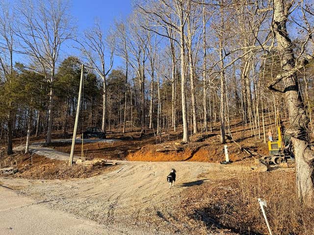 1260 Wolf River Road