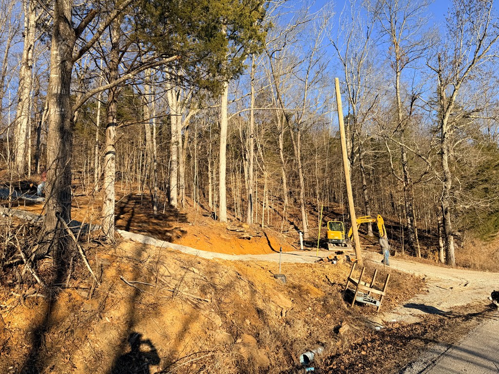 1260 Wolf River Road - Photo 3
