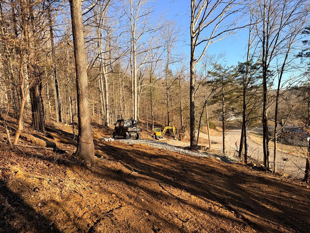1260 Wolf River Road - Photo 2